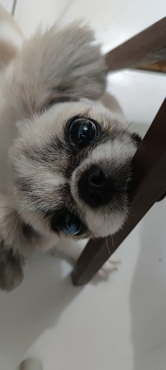 bernniiee1's tweet photo. Naresist ko nga netflix, webtoon, fb at ig. Pero how to resist this? Huhu hayaan mo na ko mag-aral bibi https://t.co/BHFImO3Gco