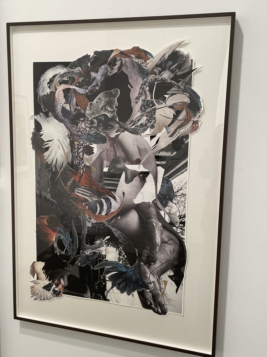 Collector Daily tweet media