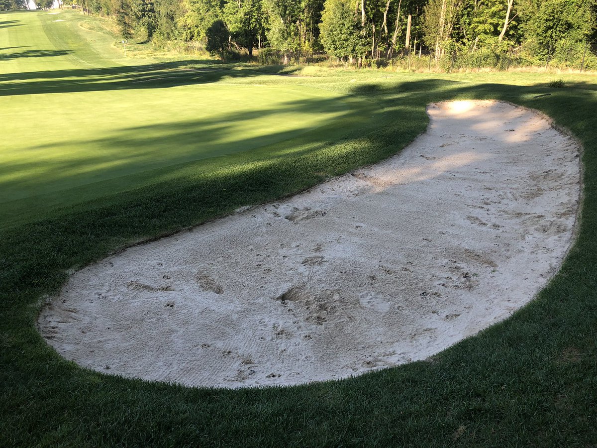 AndrewDooleyGCS's tweet photo. #turfgrassmaintenance friends… looking for tips and tricks on eliminating 🦊 from damaging turf and bunkers other than the obvious. #golfcoursemaintenance #turflife @UnionLeagueGolf #Torresdale https://t.co/n8HSYfrlcV