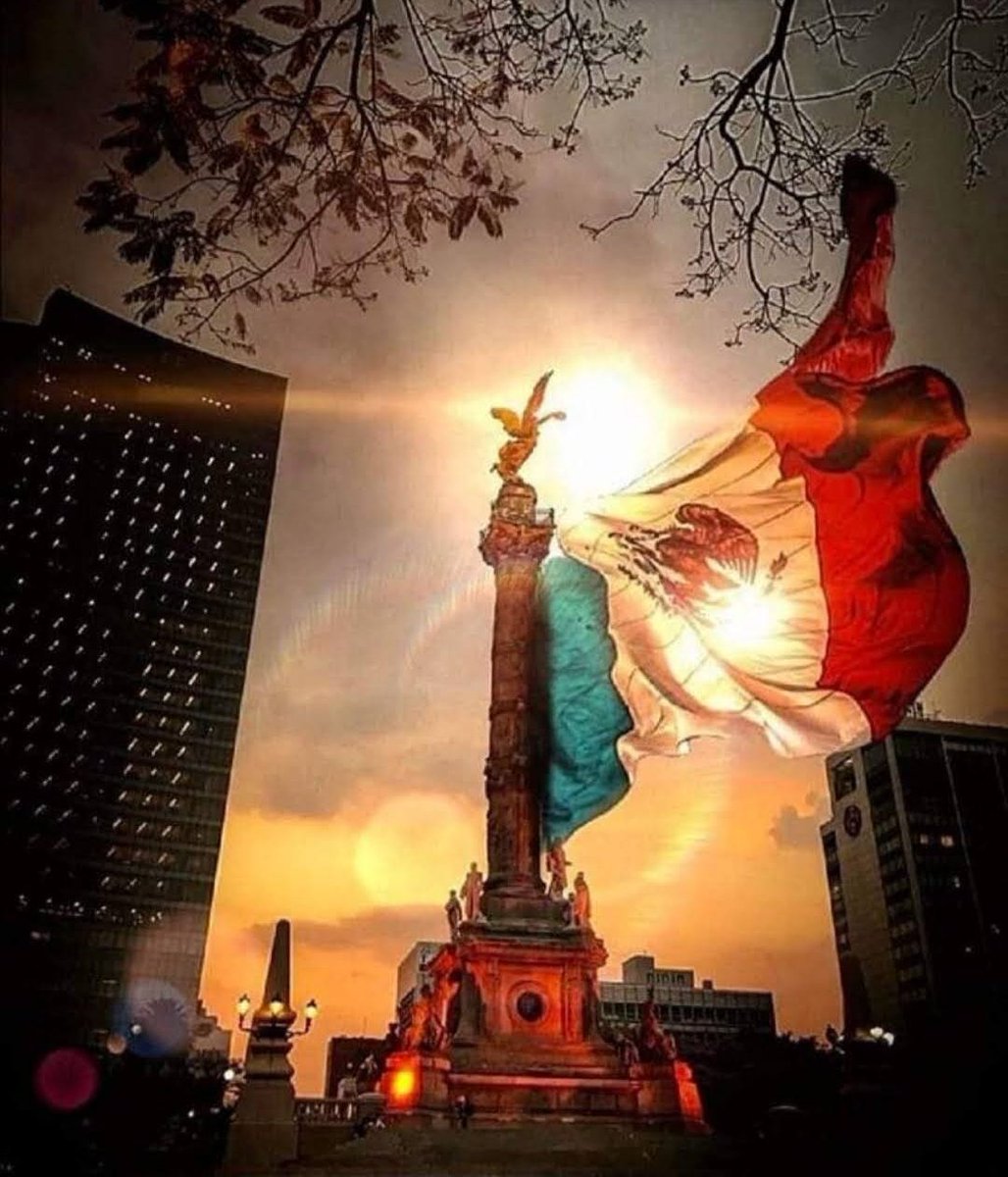 Buenos días amigos y familia Noroñista 🔆😉✌️

#NoroñaEsPueblo #Noroña2024 #ElPuebloConNoroña #NoroñaVa