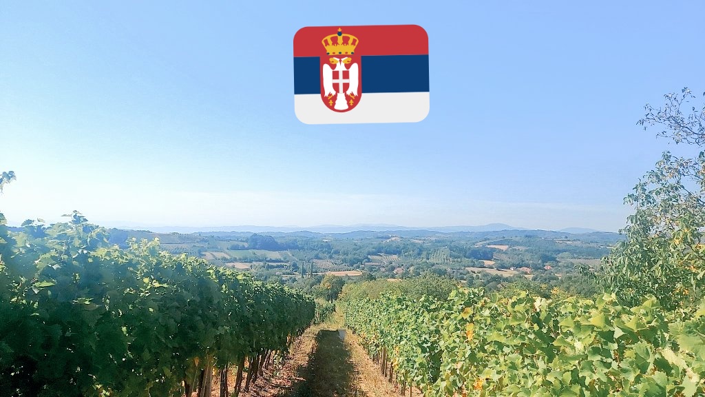 JelenaMKandic's tweet photo. Grožđe lično iz našeg vinograda u Levču na 4km vazdušnom linijom od Kaludre gde je kompanija #NovaCentauriBeograd juče pokušala da kopa istražnom bušotinom #REK4.

Podrška hrabrim i neustrašivim Levčanima juče do duboko u noć.

Šta još imate javno da lupetate i da se blamirate? https://t.co/IUSyXFC0hM