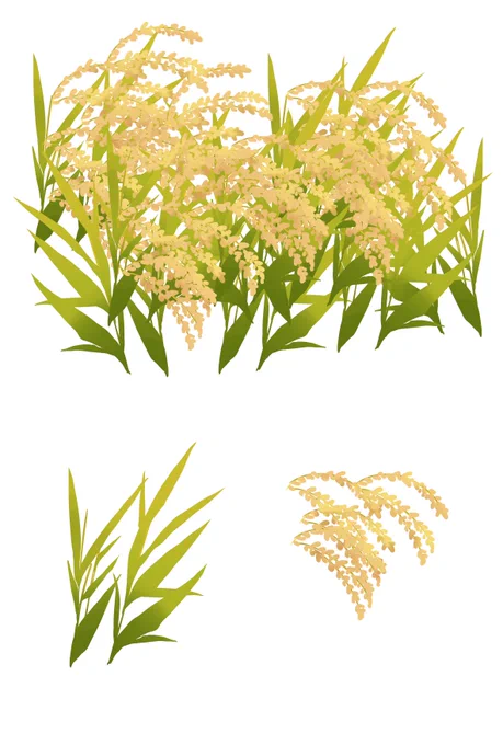 今まで描いた植物 