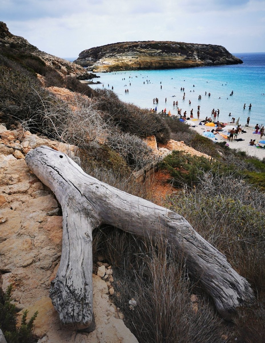 CardinaliMarco's tweet photo. Lampedusa https://t.co/HMv26RDiqQ