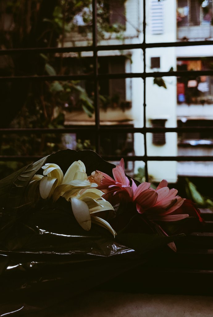 suggestmeone1's tweet photo. some people are just really kind 💗aren't these flowers just so beautiful 🌸 https://t.co/N1bueMNALv