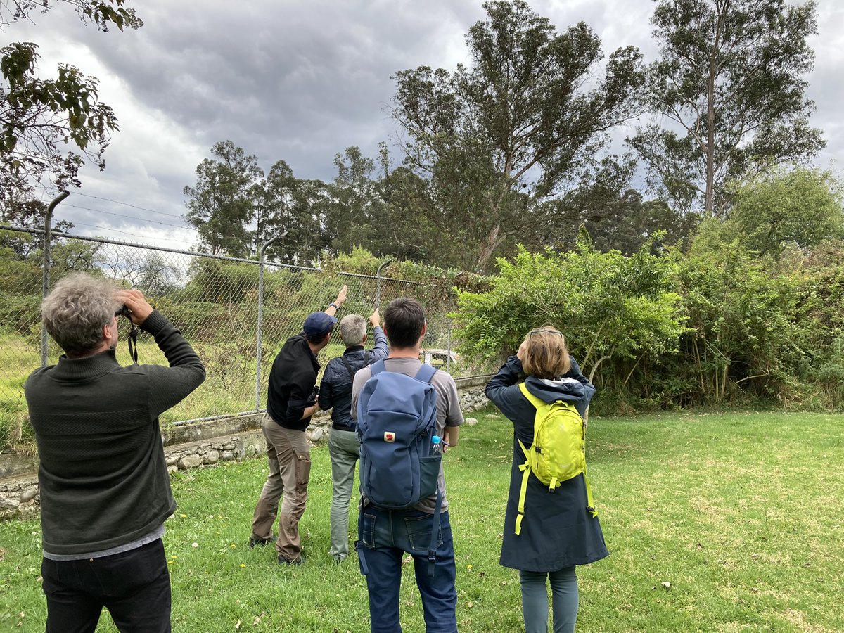 NEW EXPEDITION to #Ecuador from the Villum Center for Global Mountain Biodiversity aims at enhancing our understanding of the processes building #biodiversity hotspots in tropical mountains via satellite data &amp; genetic bird data 🏔🐦 Find out more 👇
macroecology.ku.dk/news_and_media…
