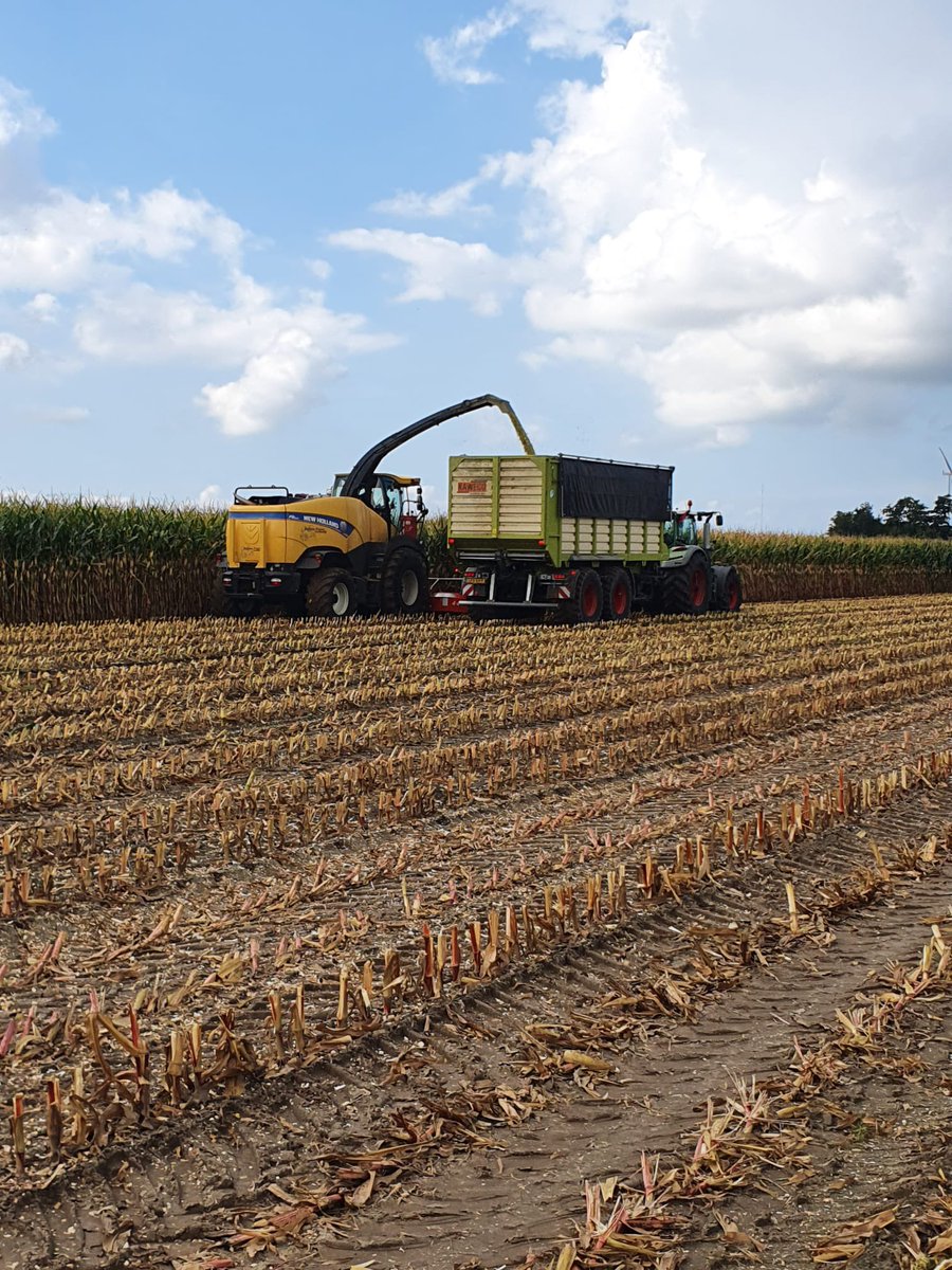 Jeffrey Mul tweet media