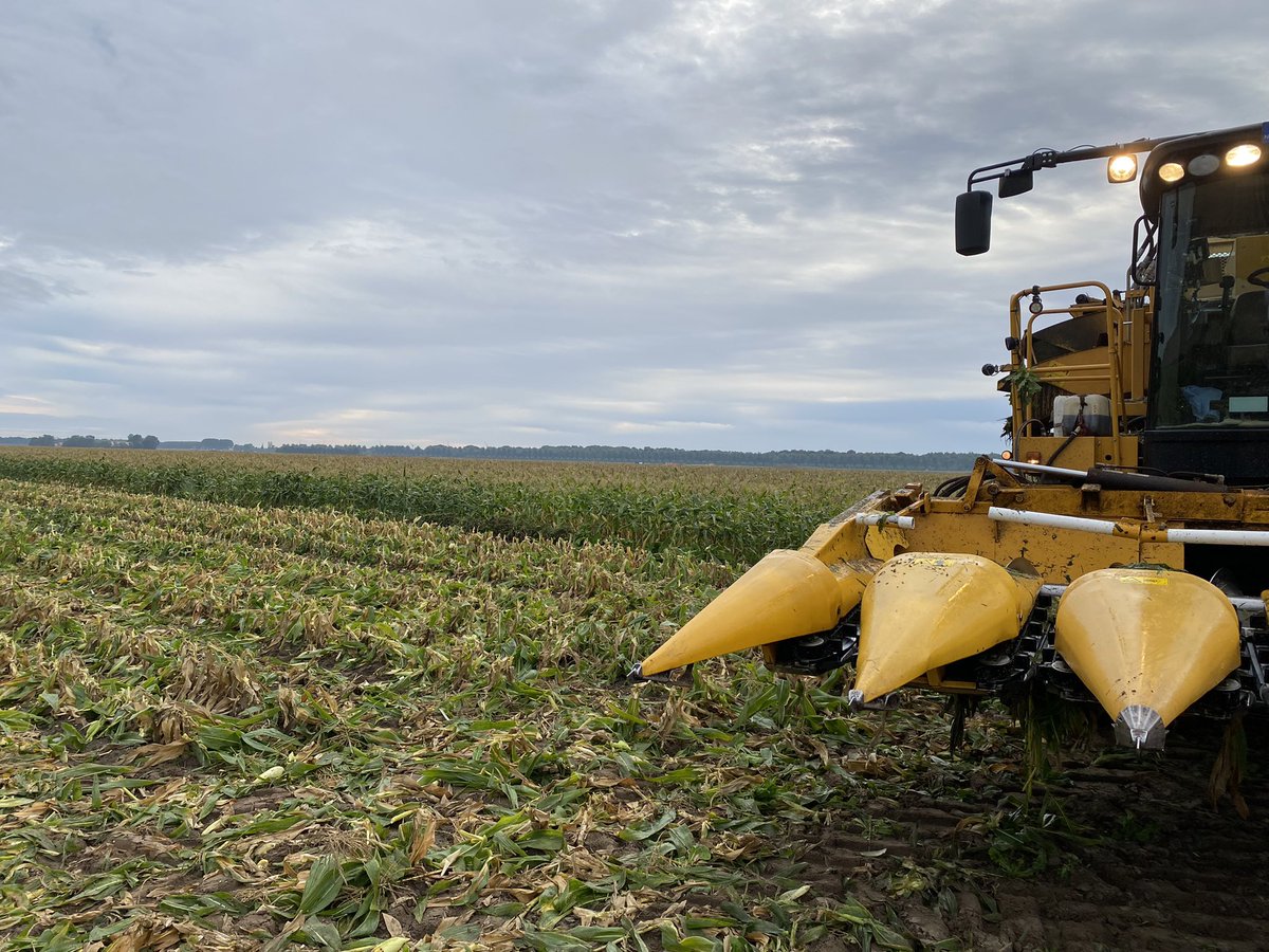 Jeffrey Mul tweet media