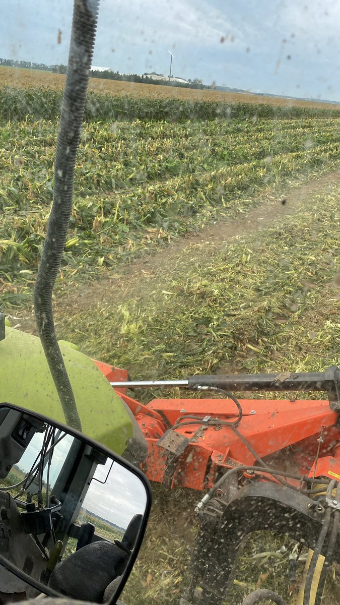 Jeffrey Mul tweet media