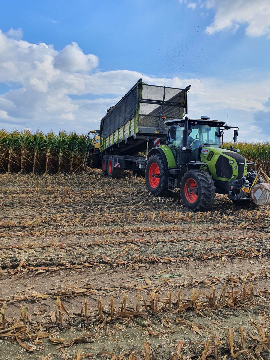 Jeffrey Mul tweet media