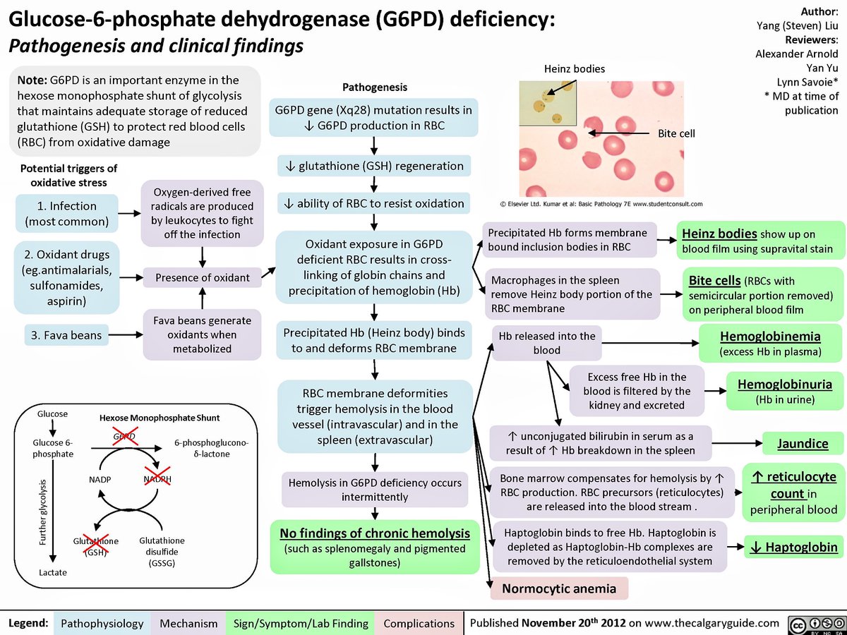 Journal of Brown Hospital Medicine tweet media