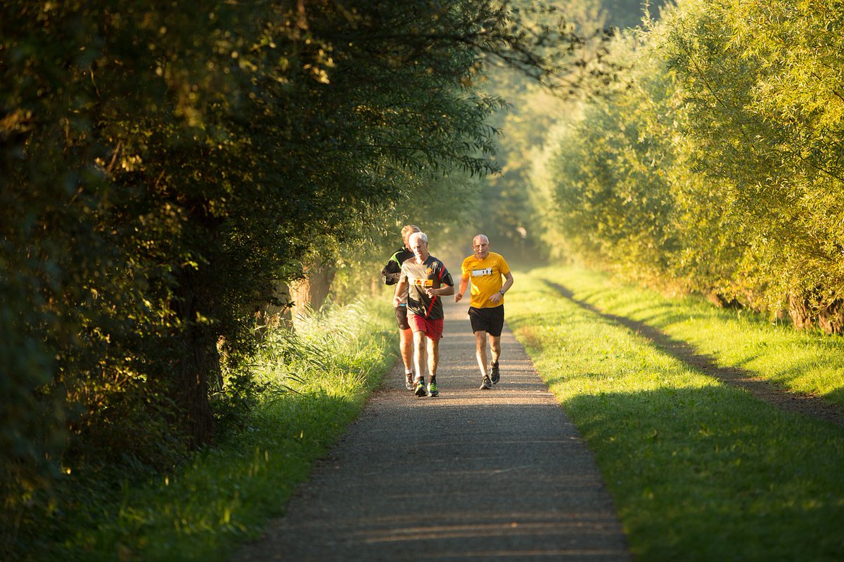 SIRCtweets's tweet photo. Research shows that the practice of basic health habits in the USA is shockingly low & may be declining.
Research also suggests that lasting changes in external health behaviors first require changes in #internalvalues & #corebeliefs. #PhysicalActivity
https://t.co/bCVR76G9zq https://t.co/RjFNj5SDpR