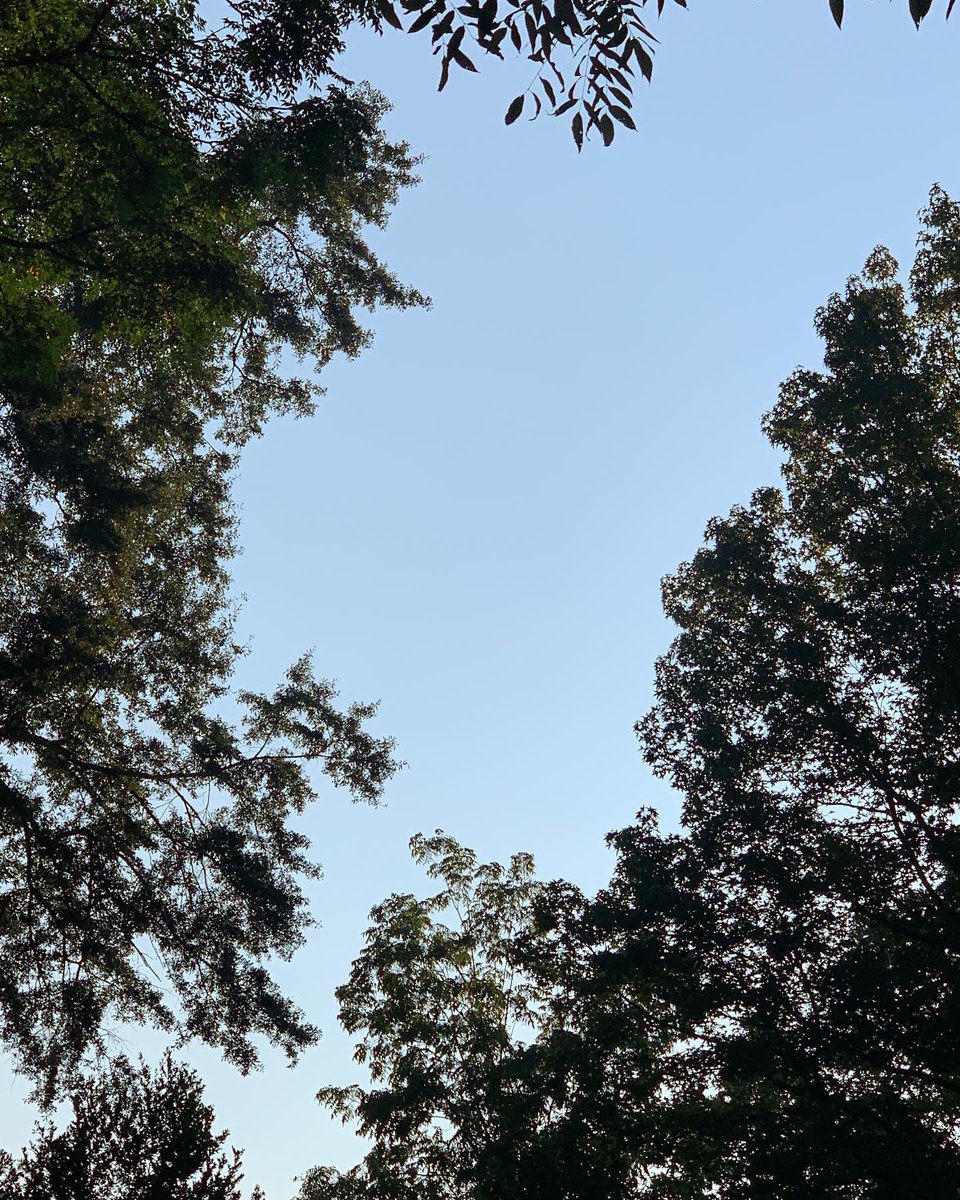 okamoto_sandra's tweet photo. Good morning, Columbus! The waning gibbous moon is at 81%. #ColumbusGA #mydailyphoto #09/14/2022 #2022project #mostlyclearsky #abithazy #sunrisingthroughthetrees #cool #drierair #tinybreeze #verypleasant #birdswaking #cicadasquieter #neighborsdogsbarking #mymoonobsessioncontinues https://t.co/3FdUoPuwjg