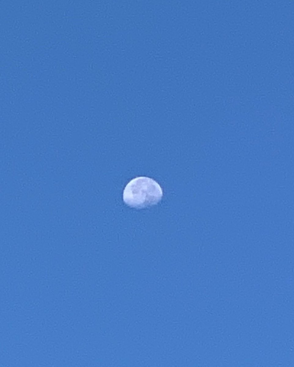 okamoto_sandra's tweet photo. Good morning, Columbus! The waning gibbous moon is at 81%. #ColumbusGA #mydailyphoto #09/14/2022 #2022project #mostlyclearsky #abithazy #sunrisingthroughthetrees #cool #drierair #tinybreeze #verypleasant #birdswaking #cicadasquieter #neighborsdogsbarking #mymoonobsessioncontinues https://t.co/3FdUoPuwjg