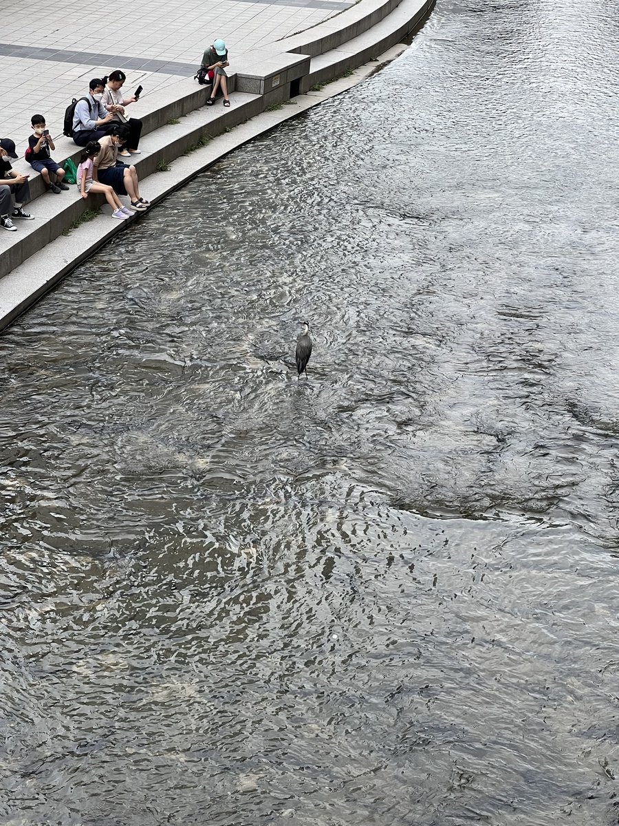 fok - @fokmode@mastodon.social tweet media