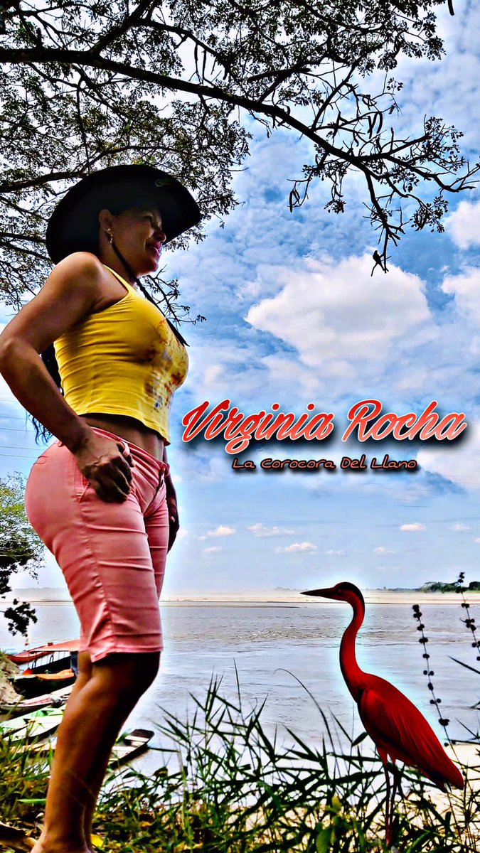 COROCORITA's tweet photo. Recuerditos de mi tierra... #Meta🇳🇬 #Colombia🇨🇴 #JoropoSinFronteras #Joropo #culturallanera #VirginiaRocha💃🏿 #lacorocoradelllano🏇🐕 #lacorocoradelllano🏇 #LaCorocoraDelLlano🦩 #Corocora🦩 #OrgulloLlanero 🎼🤠💃🏿🎼 😃😃😃👍🏾👍🏾☕☕☕🇨🇴 💋💋💋 👏🏾🙏🏾👏🏾 https://t.co/Z9TCAF1epN