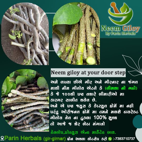 GiloyNeem's tweet photo. અનેક ગુણોથી સમૃદ્ધ છે ગળો

#Neem #neemgiloy #herbals #herbs #organic #nature #plantbased #herbalmedicine #healthylifestyle #wellness #selfcare #naturalremedies #healthymeals #healthandwellness #naturopathicmedicine #gir #girnar #rajkot #Gujarat https://t.co/DRI5cQYb4p