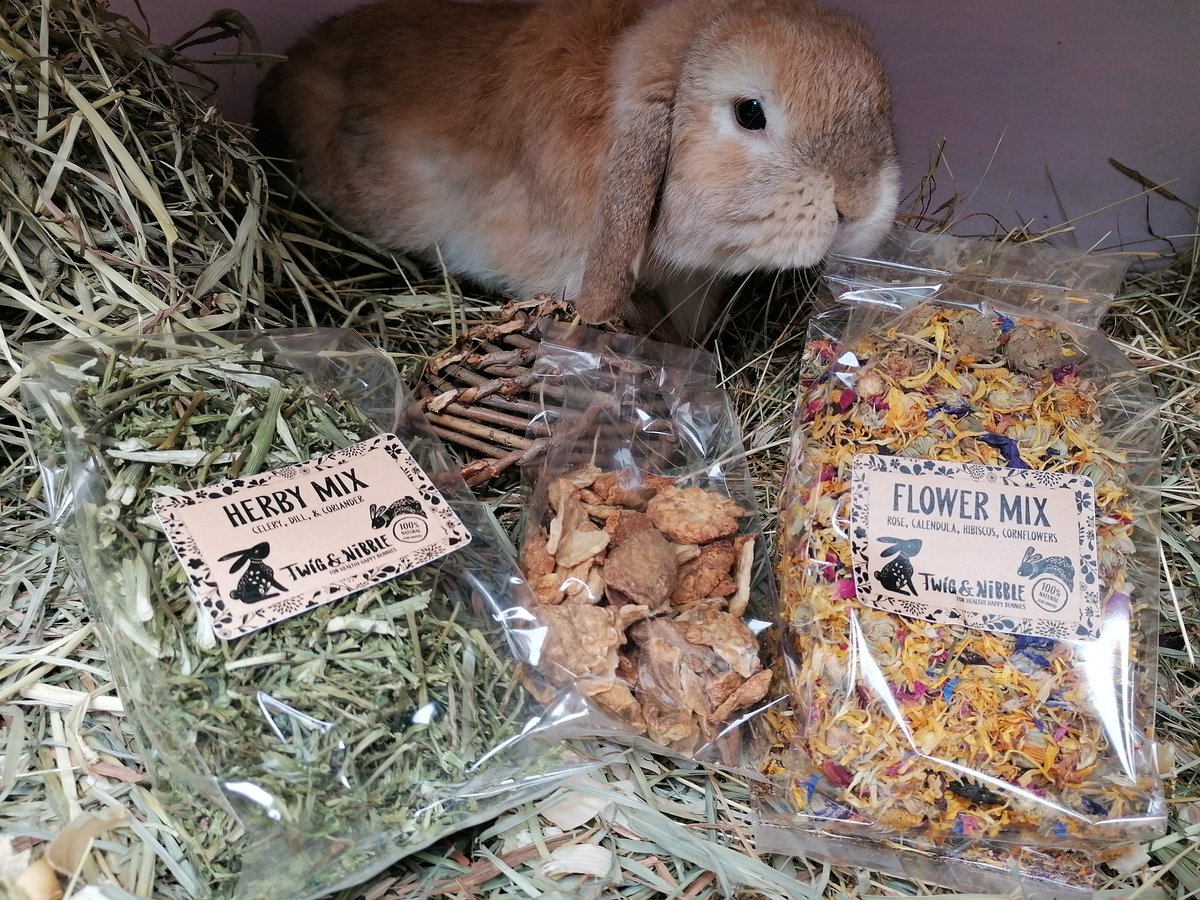 BurrowedHearts's tweet photo. Theodore and the rest of our buns would like to say a big thank you to Lorna for sending them these healthy snacks! 🌿🐇

#rabbit #adoptdontshop #animalrescue #nottingham #rabbits #charity https://t.co/JIasSplWwl