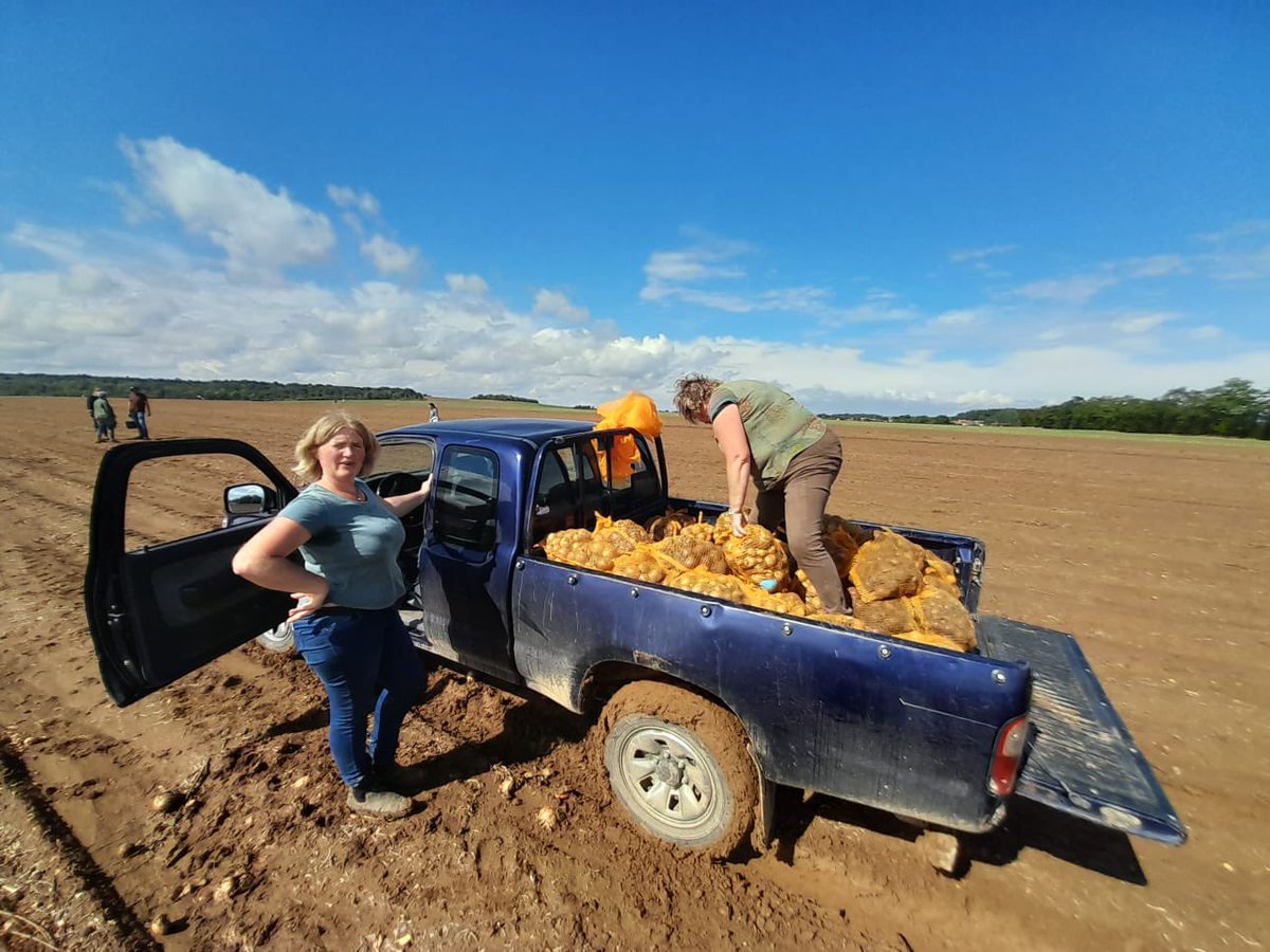 🛑En direct des territoires - Opération #glanage solidaire chez Mathilde Vermes à la Ferme d'Ailly, sous le soleil ! Challenge par équipes avec  la #MFR de Trun et les délégués de #Falaise. Qui ramassera le plus d'oignons ? 💪 🧅 ☀️ <a href="/SolaalNormandie/">SOLAAL NORMANDIE</a> <a href="/PralusSylviane/">Pralus Sylviane</a>