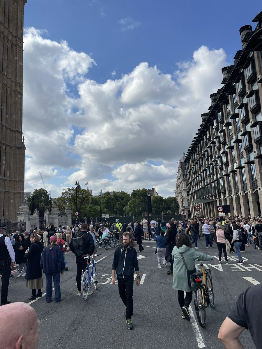 Everywhere you try to go through it’s closed with huge green boards!! Ppl not able to see a thing !#thequeen ##themall #whitehall  #bigben