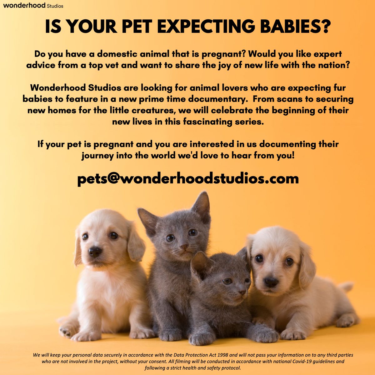 <a href="/IwanttobeonTV/">I want to be on TV</a> Please can you RT - 
CASTING NOW - Looking for pregnant animals as part of a new prime time documentary series! Email pets@wonderhoodstudios.com for info! #casting #TV #animallovers