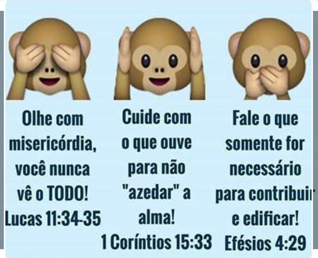 fieis_gui's tweet photo. A dica de hoje é 🙈🙊🙉. https://t.co/kMdVlc7oEx