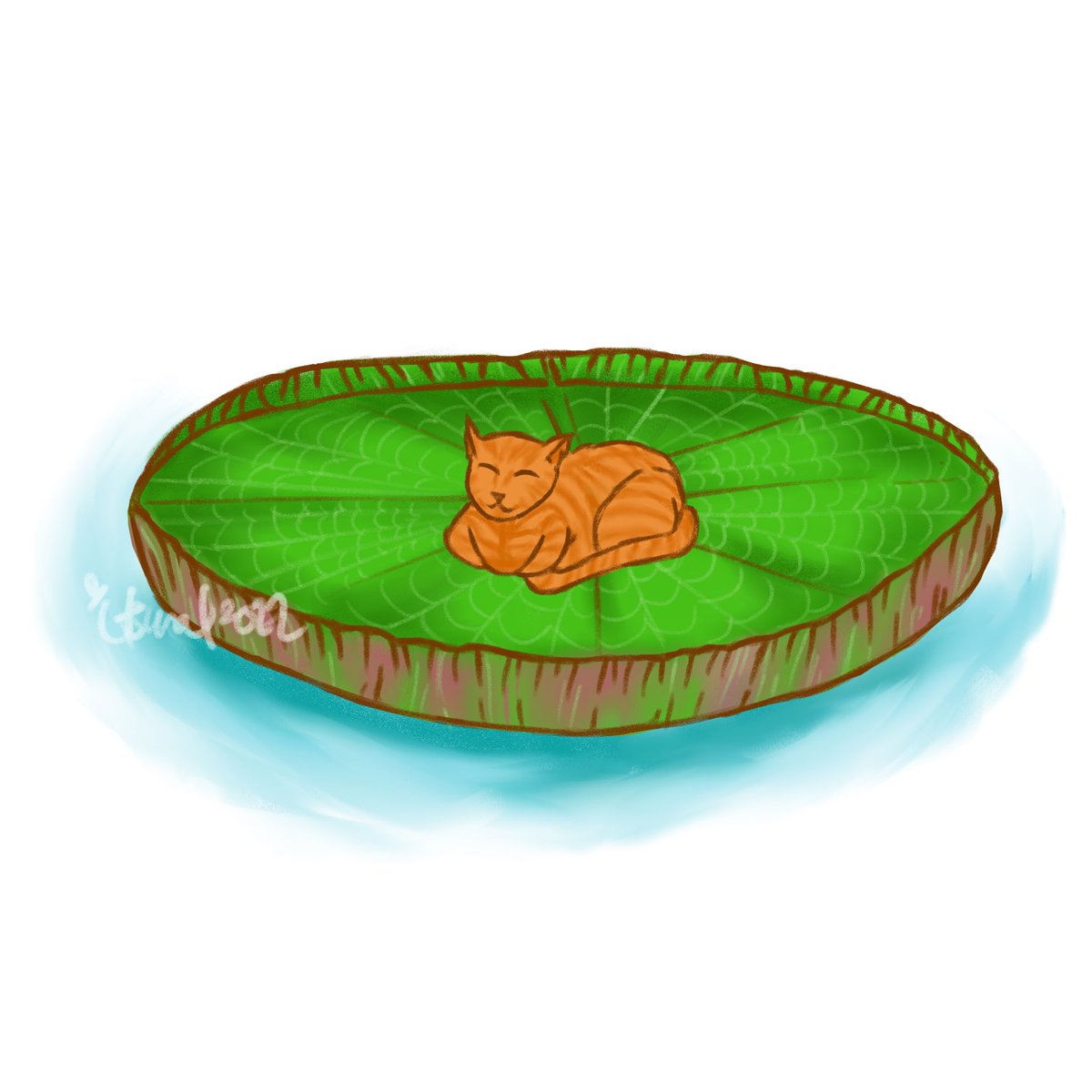 maloix_etal's tweet photo. Trying to get back to doodling again, by doing random art
#idrawsometimes #iartsometimes #catart #gingercat #lilypad #plantart #artistsontwitter #artph https://t.co/jCOVhbXdwi