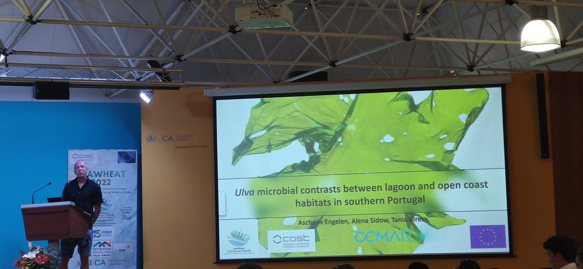 SeaWheatCOST's tweet photo. Dr Aschwin Engelen is talking us about microbial contrasts between lagoon and open coast habitats in southern Portugal un Ulva seaweed #algae #ulvacostaction #seawheat #seaweed #ca20106 #ulva https://t.co/HupFen1fQU