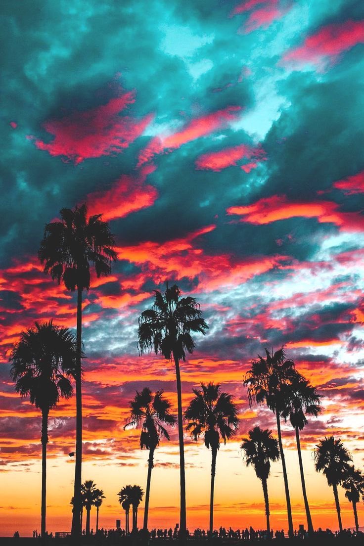TheOutdoorsmenx's tweet photo. California https://t.co/iRffyk7bt8