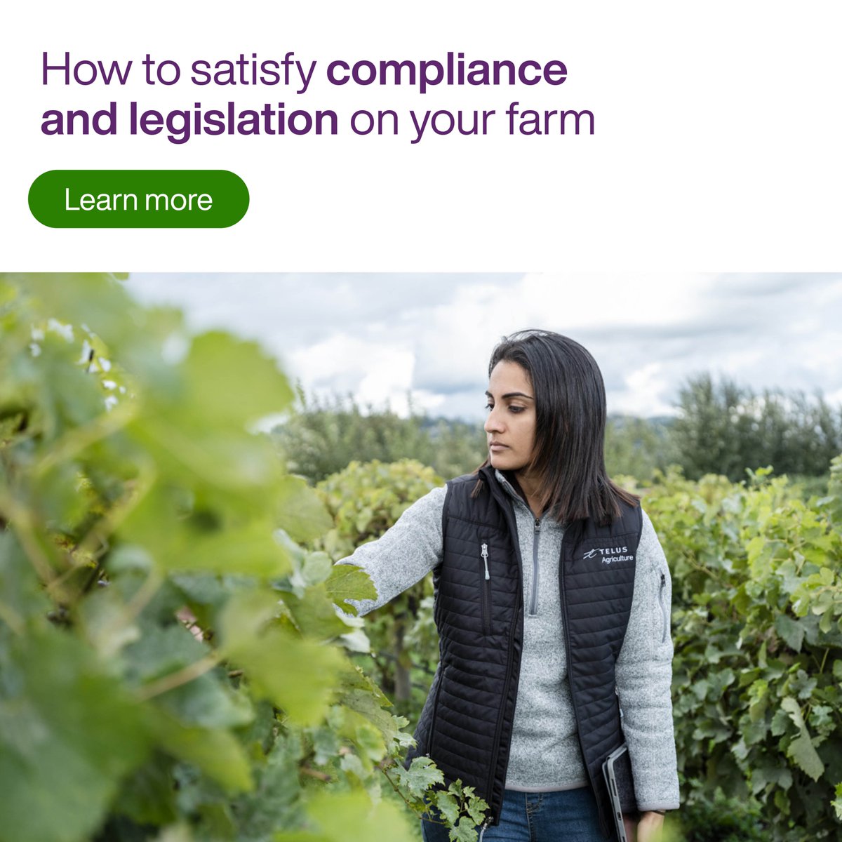 Wondering how to...
🚜 Audit spray &amp; fertiliser plans against regulatory &amp; legislative approvals
🌱 Record seed, fertiliser &amp; pesticide applications, inspections, field work &amp; harvest operations
🥔 Select the data you or your auditor needs

Learn more: hubs.ly/Q01mgJ1J0