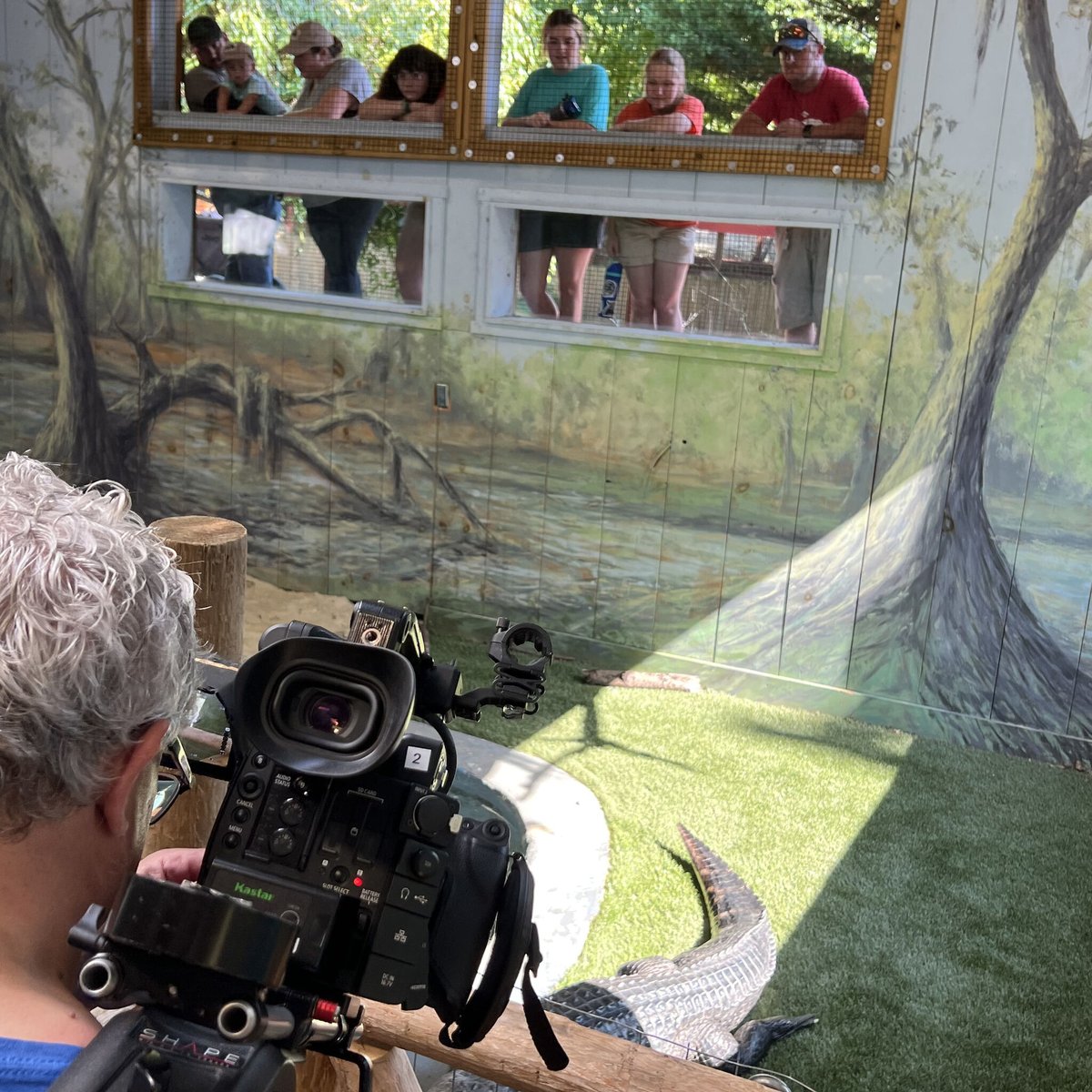 Lancebachmann's tweet photo. 1SEO’s Video Team had a WILD time at Elmwood Park Zoo! We LOVE getting the opportunity to capture our client’s business in action, and we had extra fun filming all of the incredible animals at the zoo! #ElmwoodParkZoo #VideoTeam #WeLoveOurJob #WeLoveOurClients #WeAlsoLoveOpossums https://t.co/xBaS5bs37r