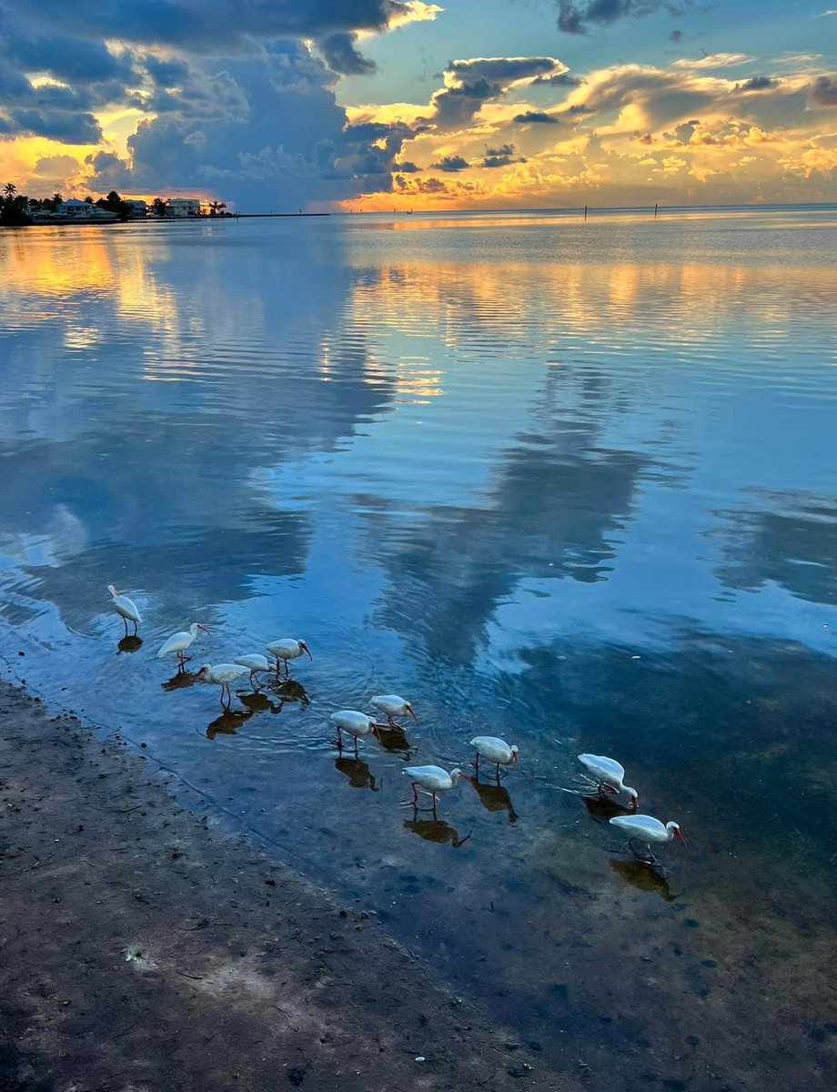 thefloridakeys's tweet photo. Caption this photo from Anne’s Beach this morning. #FloridaKeys https://t.co/tpsDZT10bm