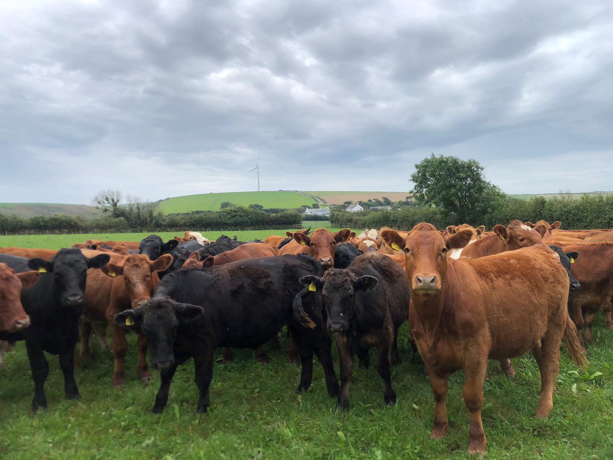 SWFarmConsultants tweet media