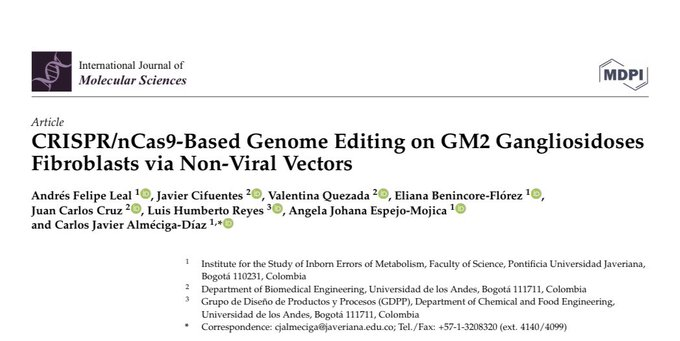 erroresinnatos's tweet photo. Publicaciones IEIM: ha sido un buen año para nuestro proyecto #CRISPR "CRISPR/nCas9-Based Genome Editing on GM2 Gangliosidoses Fibroblasts via Non-Viral Vectors" https://t.co/oH39lCcaVg @PujCiencias #RareDisease #TaySachs #Sandhoff https://t.co/Pff3k4CJBe
