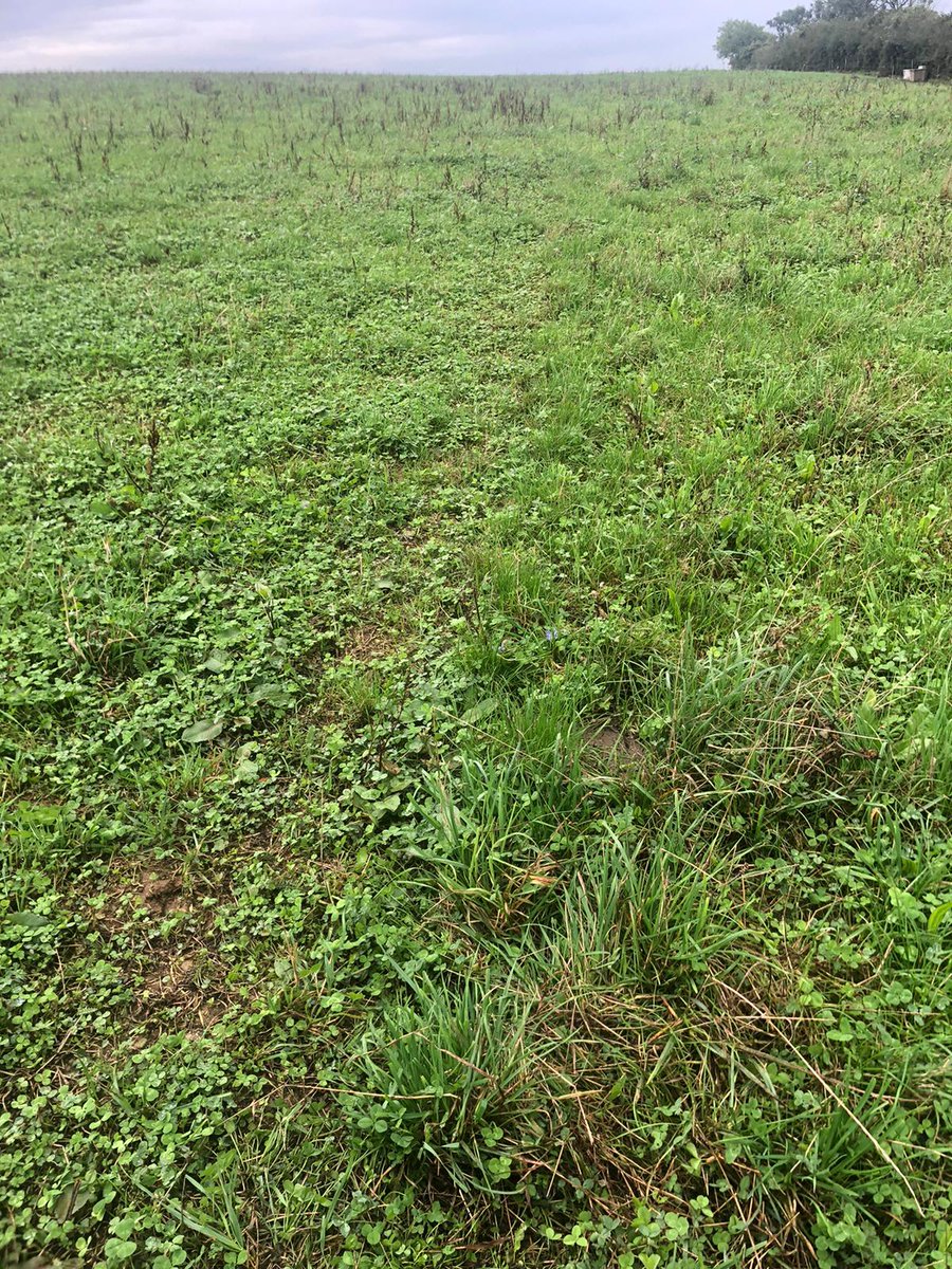 SWFarmConsultants tweet media