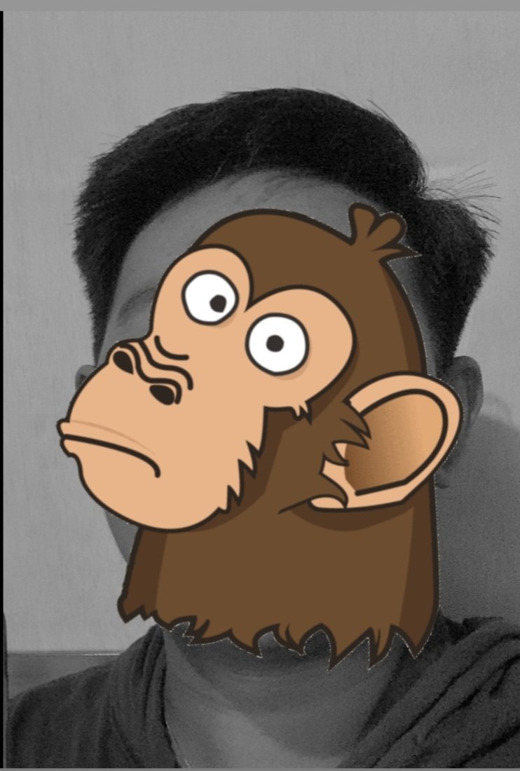 Yanto 🐈 tweet media