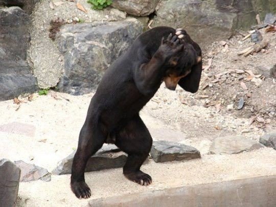 When you can't stop thinking about her 😭