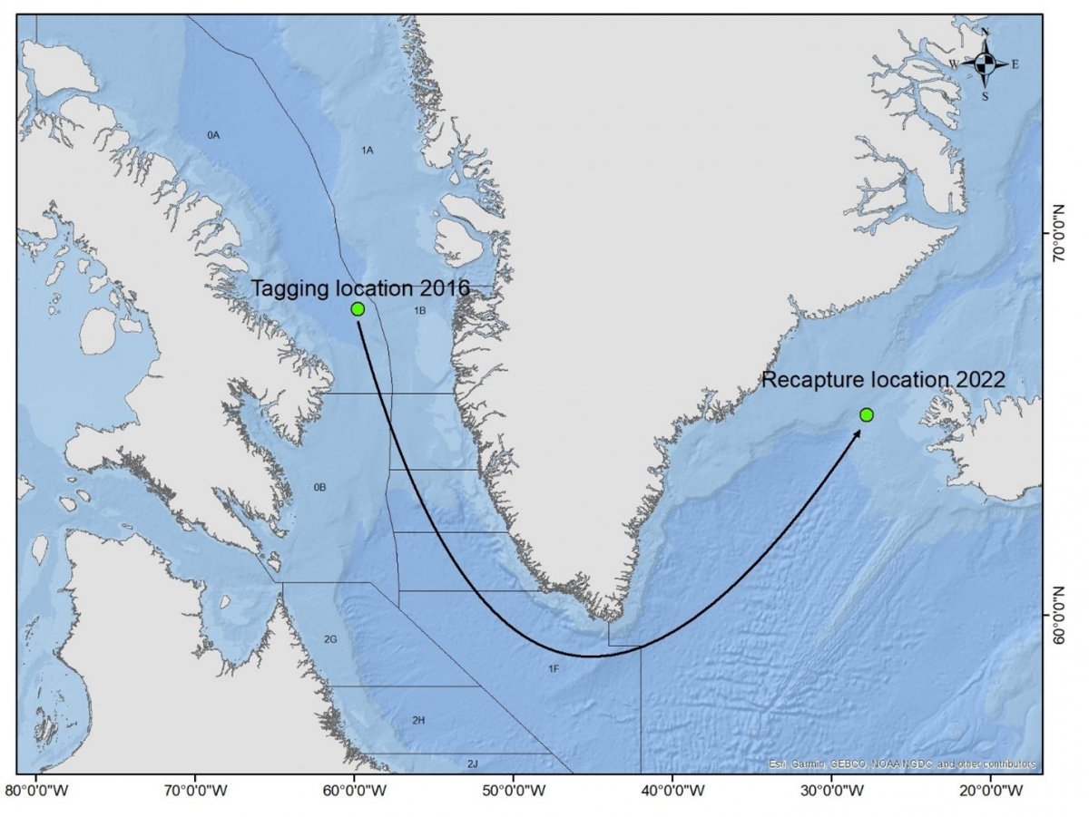 James Kennedy tweet media
