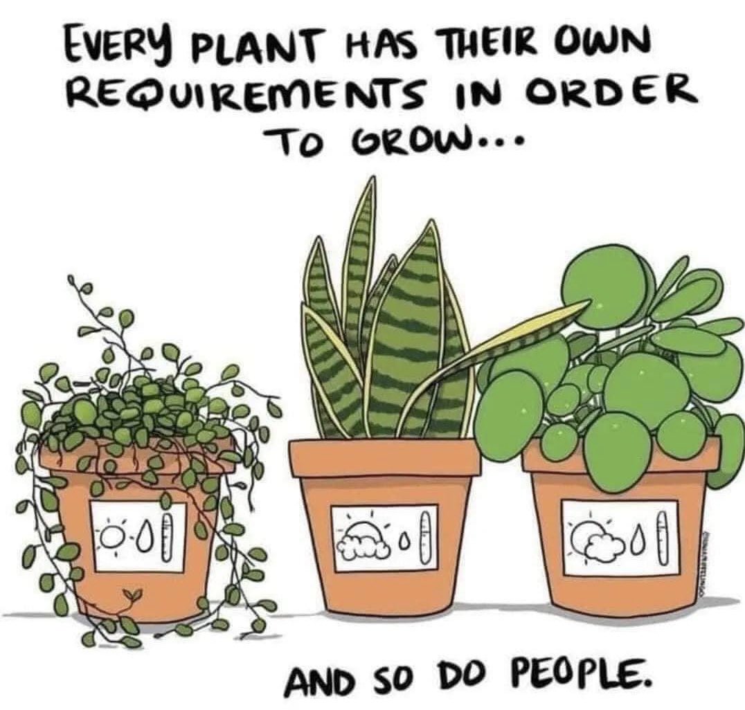 MrsFonti's tweet photo. 🪴 💚 #personalizinglearning @wyckoffschools @Wyckoffsplsrvs @WPSEisenhower https://t.co/LgFZPuxOJ4