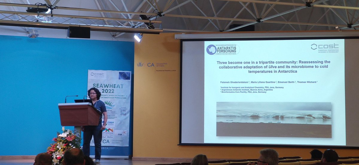 Dr Fatemeh Ghaderiardakani is going to explain why Three become one in a tripartite community: Reassessing the collaborative adaptation of Ulva and its microbiome to cold temperatures in Antarctica #algae #ulvacostaction #seawheat #seaweed #ca20106 #ulva
