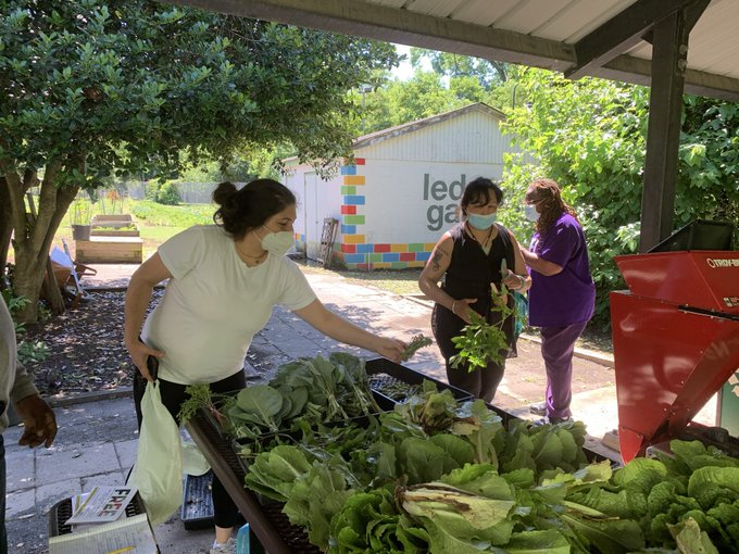 TODAY -🌱FREE WEEKLY VEGGIE GIVEAWAY! 
(WED.) 11am-12pm 
📍Lederer Farm #Ward7 #EastoftheRiver
4801 Nannie H. Burroughs Ave, NE
Local, fresh, and organic produce to you! Bring a bag for your produce. 
Link: dprveggies.splashthat.com 🥬🥬🥬
#MorethanRec #BeGreen