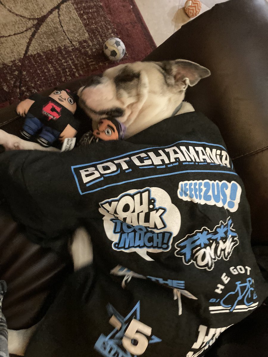<a href="/Maffewgregg/">forever botchamania</a> Trudy loves her <a href="/BotchamaniaShop/">BotchamaniaShop</a> sweater/blanket, been snoring louder than usual, <a href="/CultaholicShop/">Cultaholic Shop</a> she’s also asking for a maffew wrestle buddy to complete the podcast tripod 😎 <a href="/JackTheJobber/">Jack The Jobber</a> <a href="/RossOnRasslin/">Ross from Cultaholic</a>