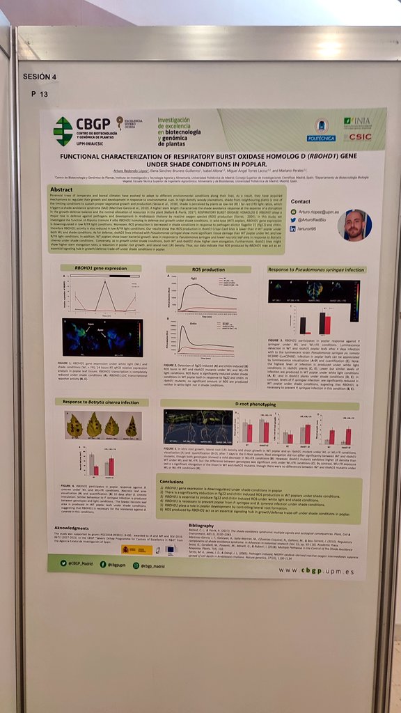 Let's get it started!
#RBMP in Sevilla.