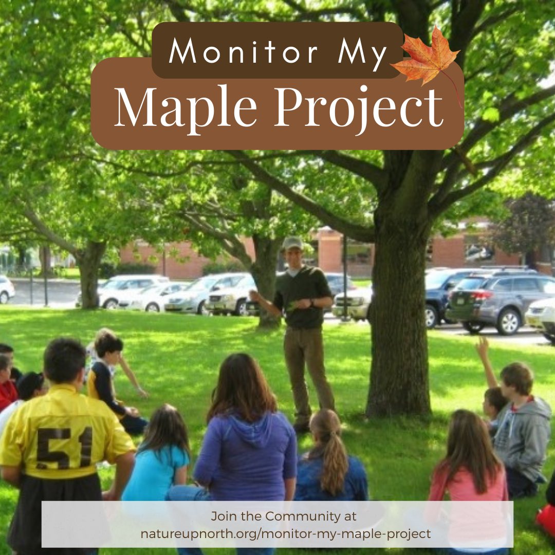 Do you love our state tree - the sugar maple? With fall right around the corner, now is the perfect time to join the Monitor My Maple Project. Volunteers are helping collect data to preserve maple trees and the traditions that surround them. Check out our website to learn more.