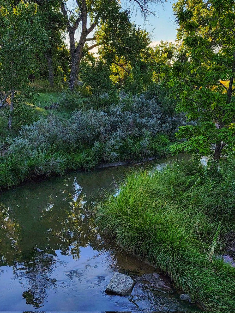 The Cherry Creek Trail.
An early morning ride on Denver's most popular bike path begins at Cherry Creek Reservoir and follows the historic trail of early gold seekers along Cherry Creek to Denver’s birthplace at the South Platte. 
#CherryCreek #BikePath #BikeDenver