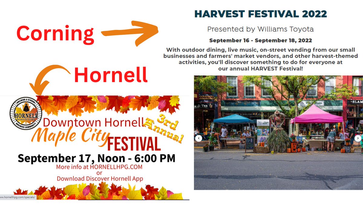 Steuben County IDA tweet media