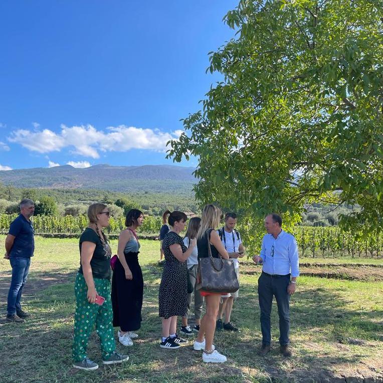 Donnafugata tweet media