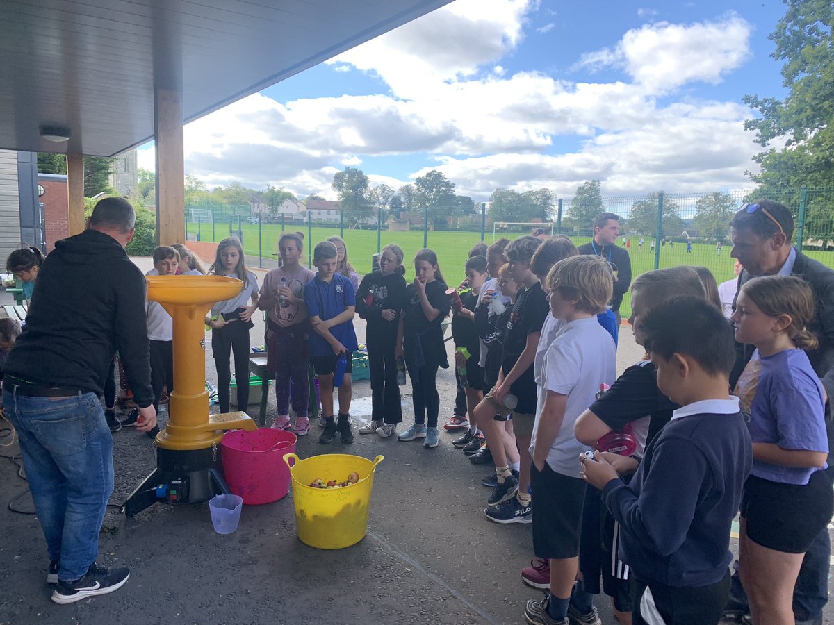 Errol Primary School tweet media