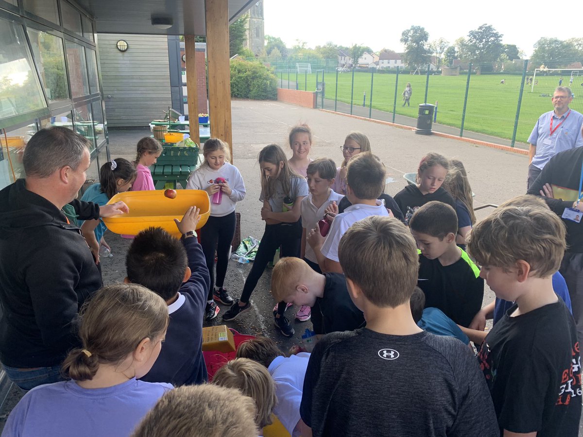 Errol Primary School tweet media