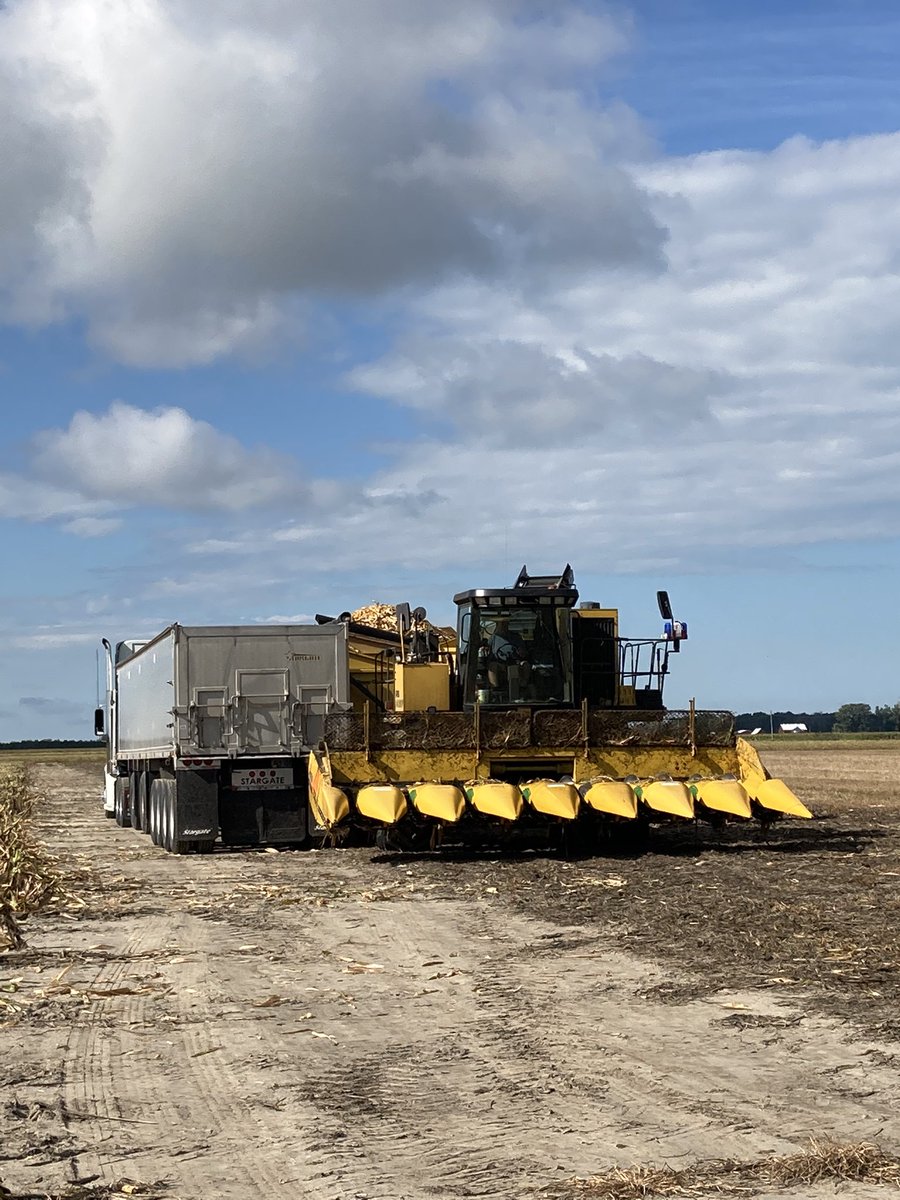 Taylor Brophy tweet media