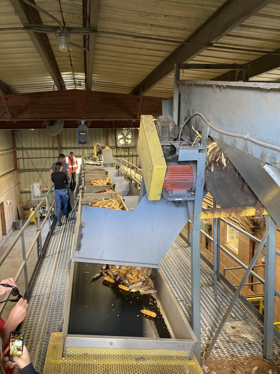 Taylor Brophy tweet media